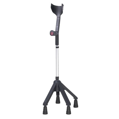 English quadruped cane